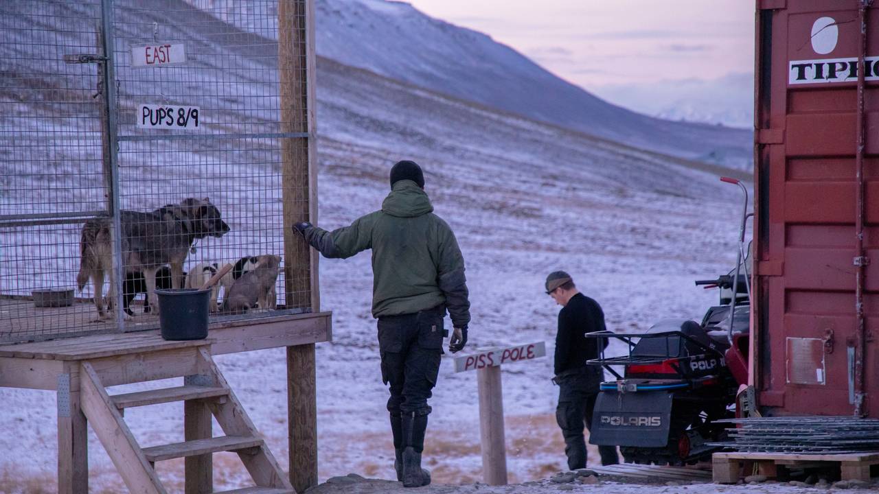 Greendog Svalbard