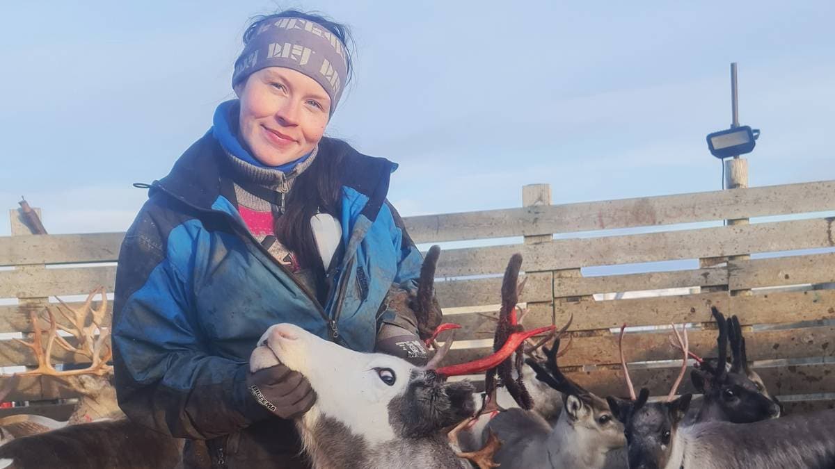 FN vil gi vetorett til samene – gir reineier håp