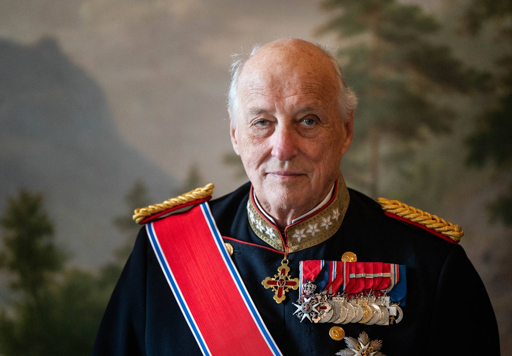 Kong Harald er iført uniform og står i Fugleværelset under statsbesøket fra Moldova i 2024