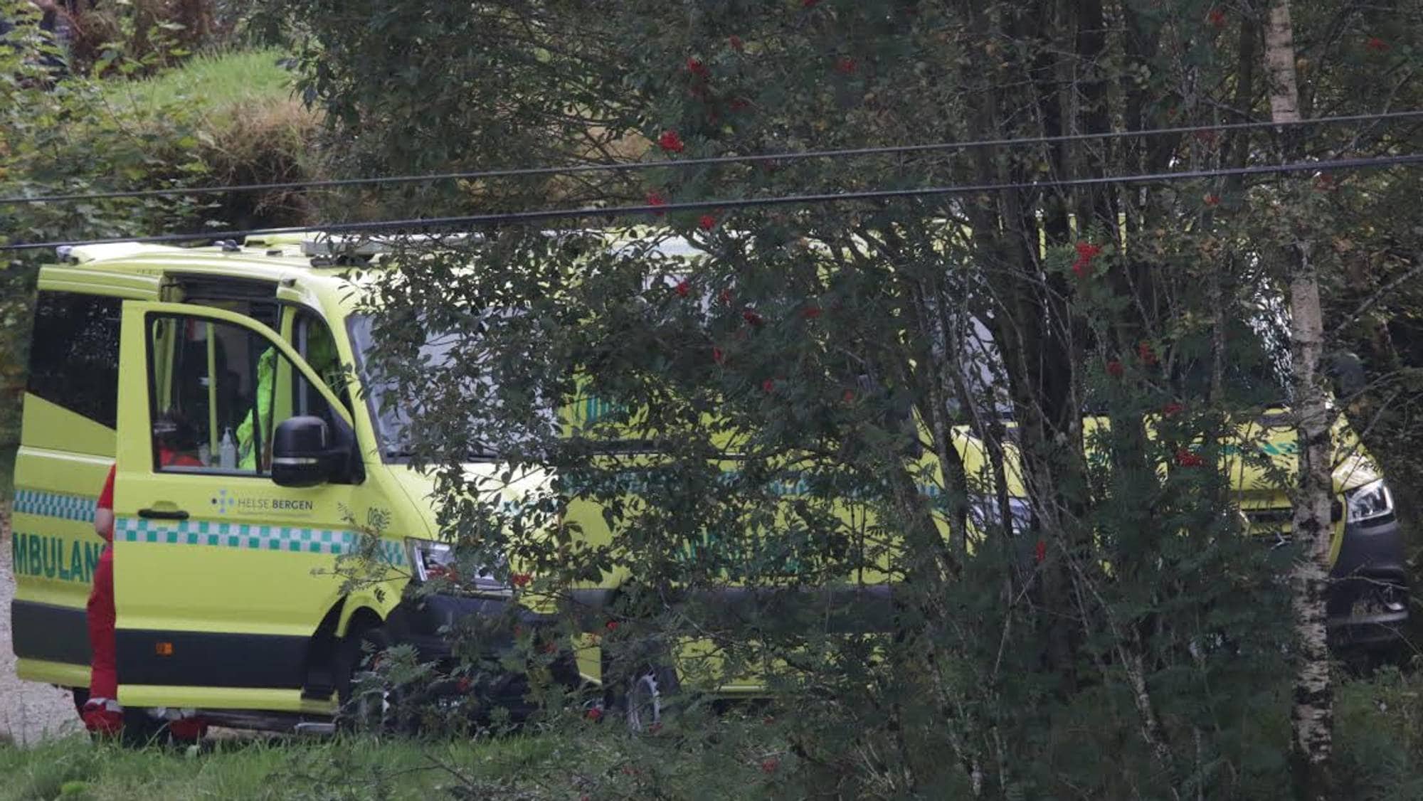 To gule ambulansar blant skog og grønt gras