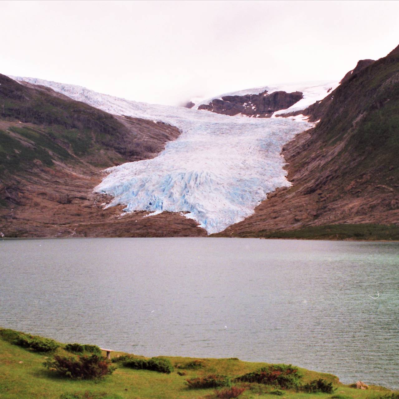 Engenbreen, Svartisen, 2001.