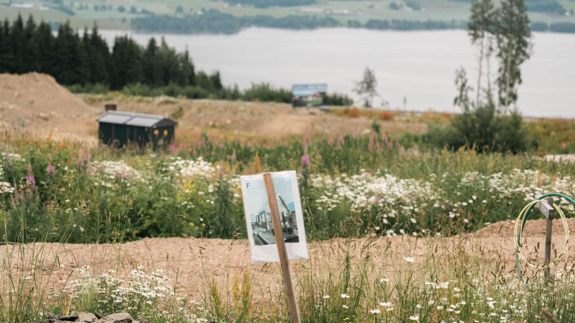 Skilt på en tomt, med utsikt mot et vann og landskap i bakgrunnen. (Bildebeskrivelsen er laget av en KI-tjeneste)