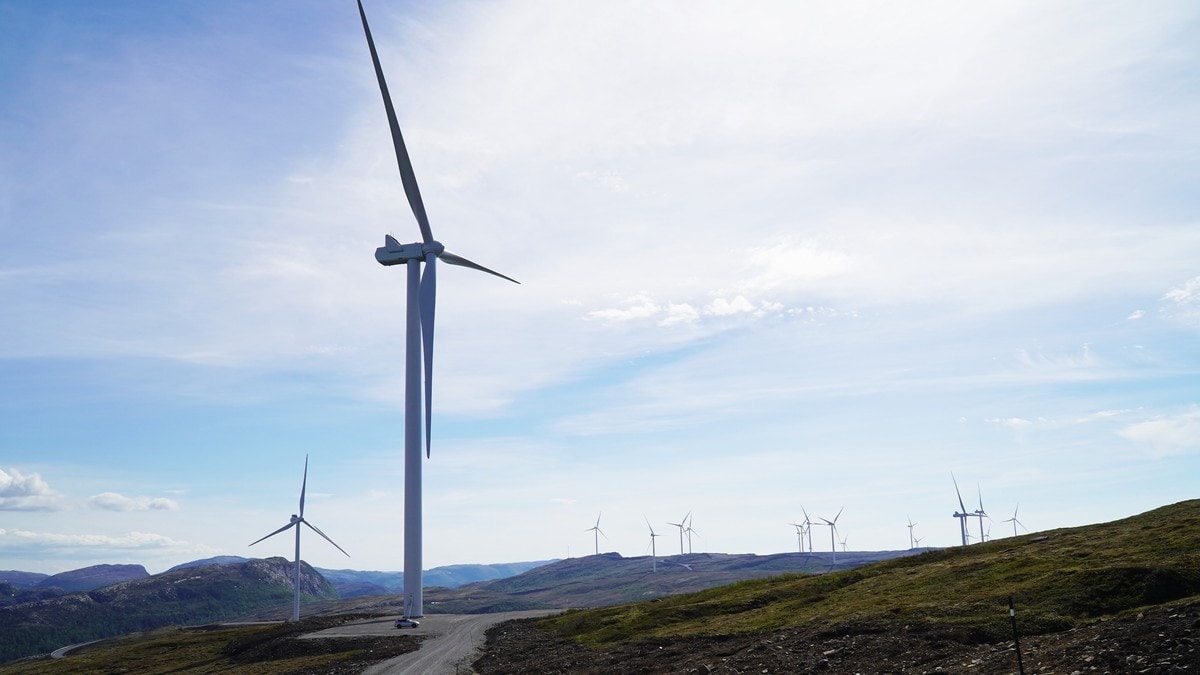 Trønderske politikere vil stoppe all ny vindkraft