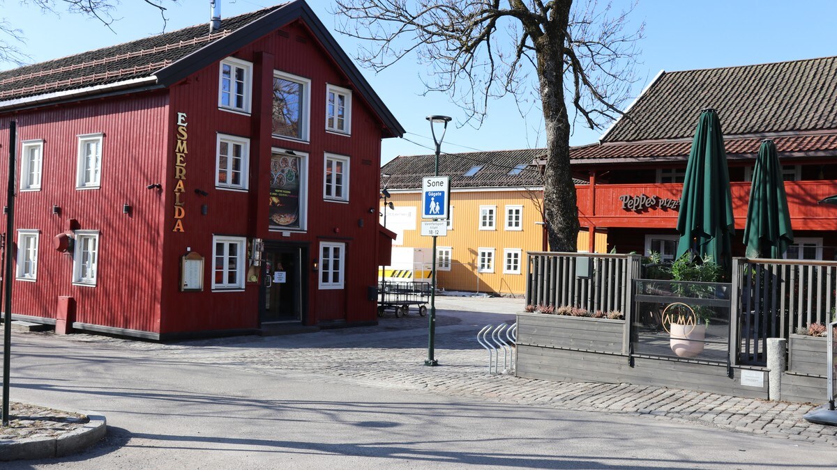 Fire nederlendere dømt for grov vold i Tønsberg