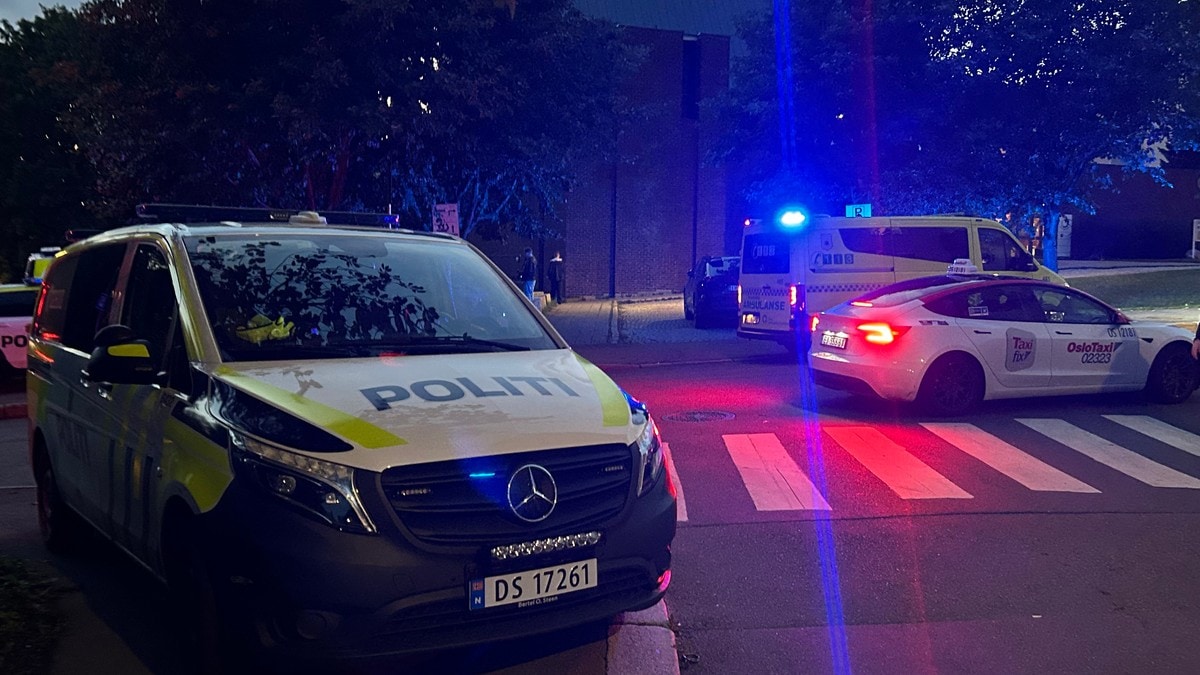 en politibil parkert i veikanten