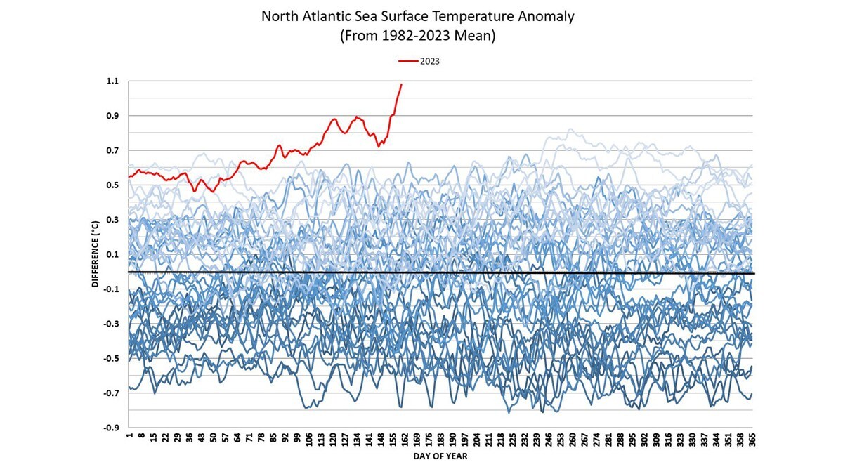 Disse grafene går viralt: Hva skjer med havet?