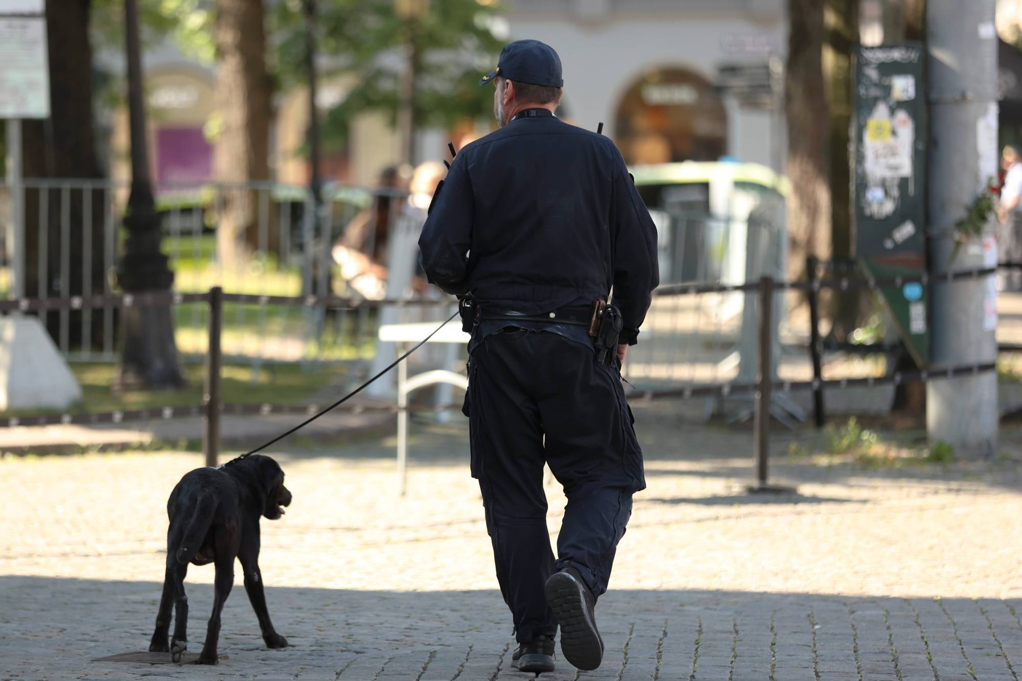 Bombehund i Oslo i 2021