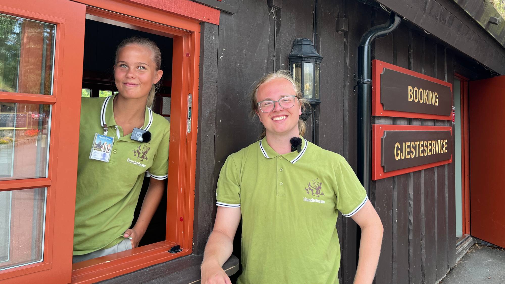Sommervikarer