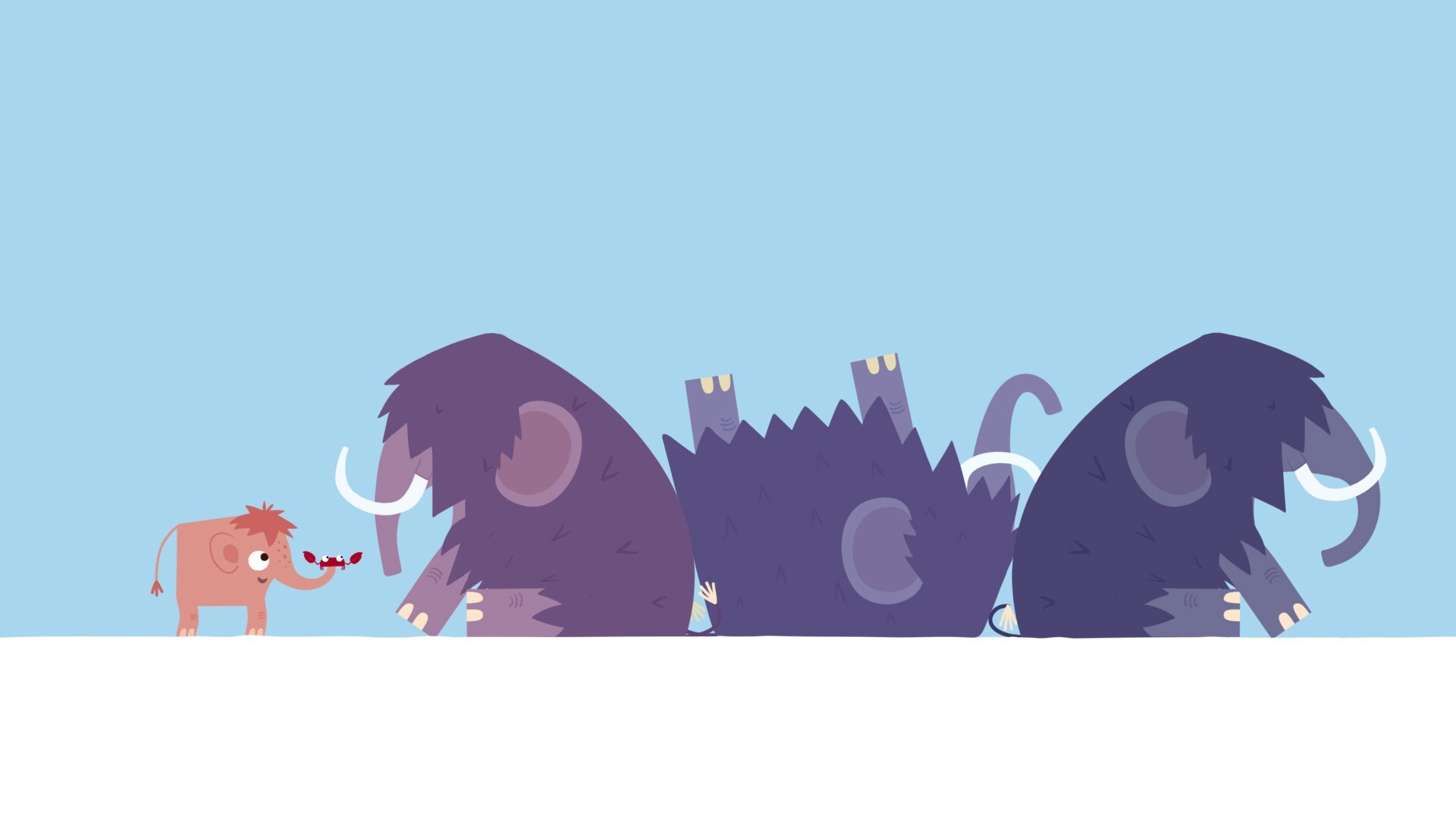 Animanimals NRK TV