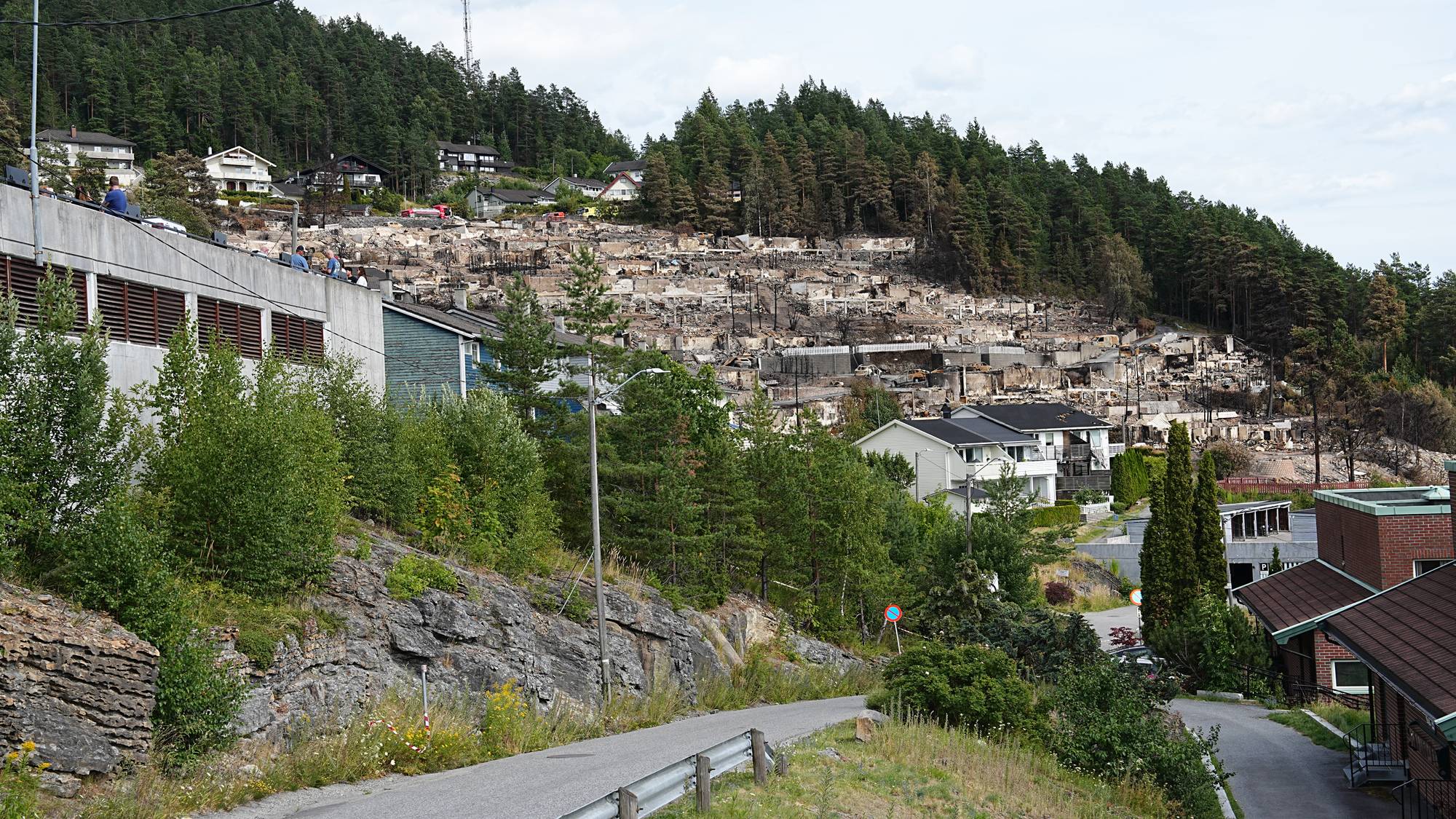 Omfattende brannskader i et boligområde i en fjellside etter en storbrann. (Bildebeskrivelsen er laget av en KI-tjeneste)