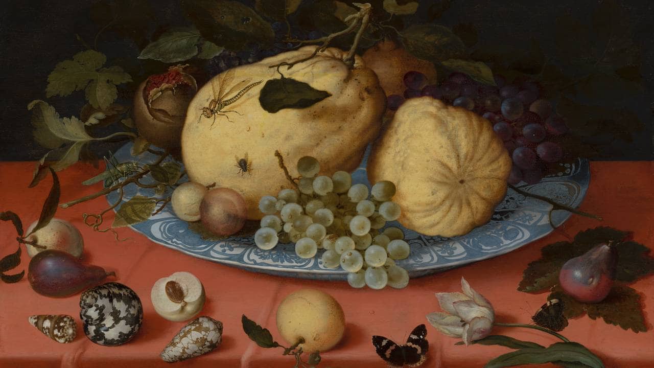 Fruit Still Life with Shells and Tulip