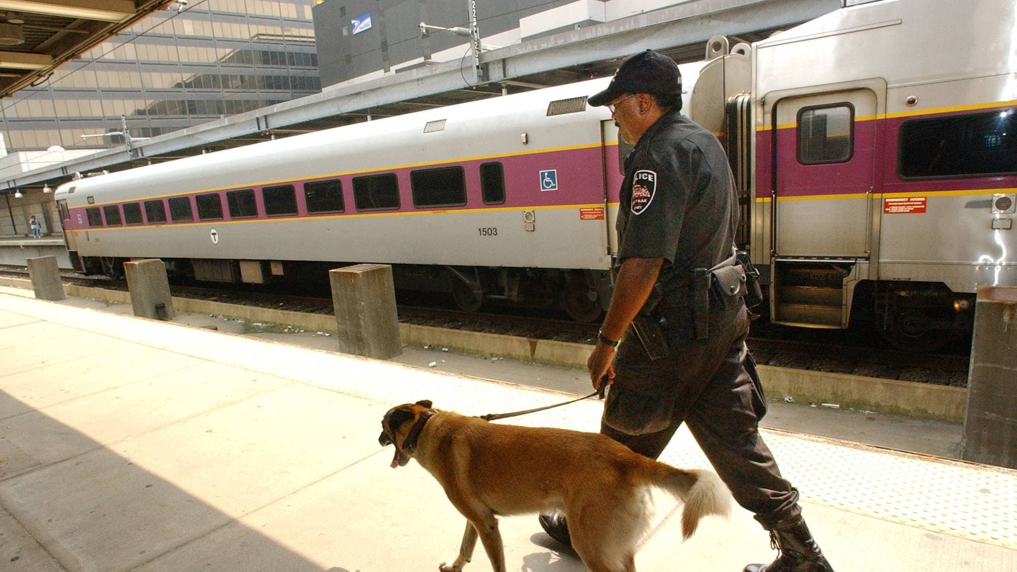 En politimann med hund patruljerer en togstasjon. Mannen er kledd i mørk uniform og har på seg en kappe. Hunden, en schæferblanding, går i bånd ved siden av ham. De er på en solfylt plattform ved siden av et tog. I bakgrunnen sees en moderne bygning. (Bildebeskrivelsen er laget av en KI-tjeneste)