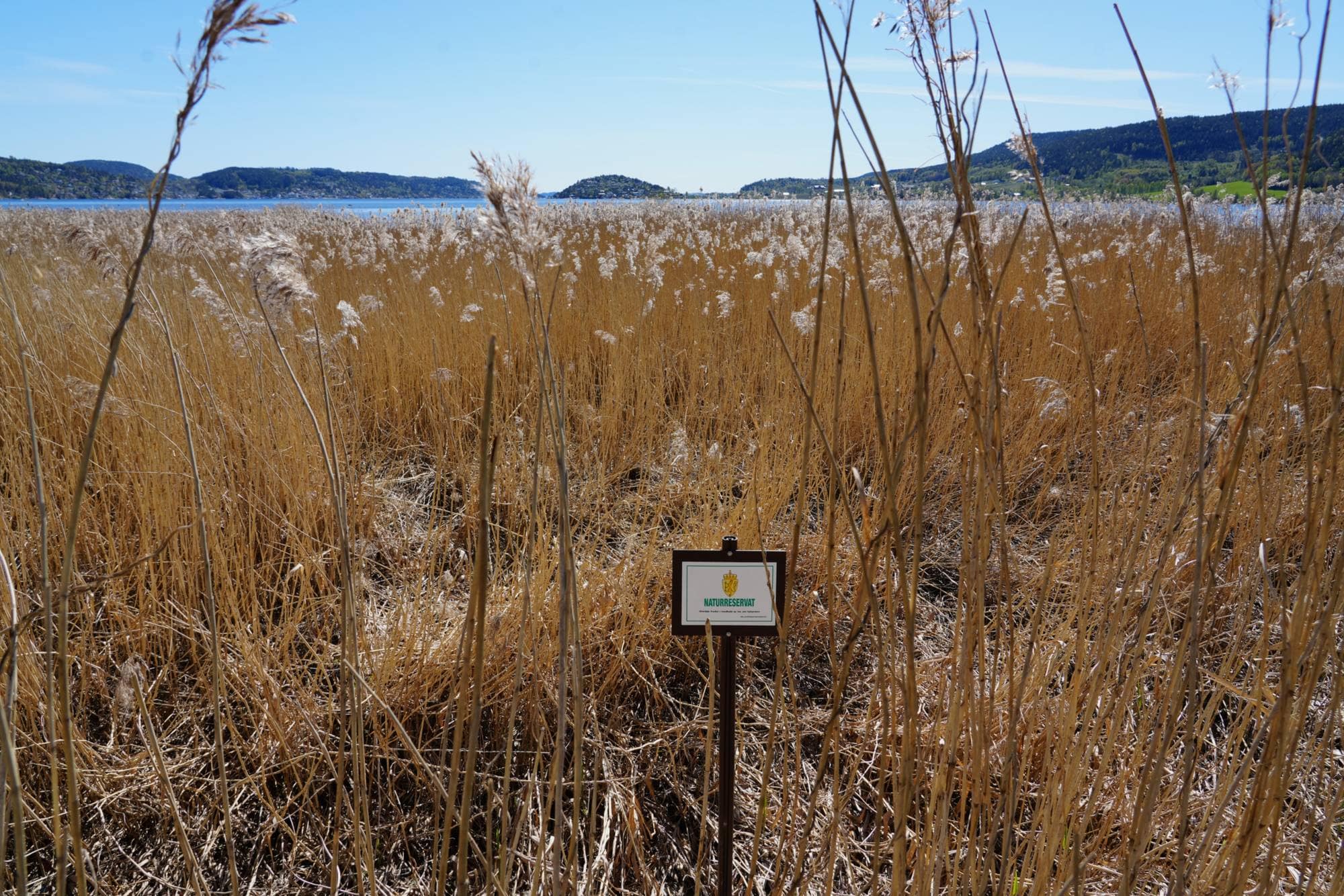 Grunnane naturreservat
