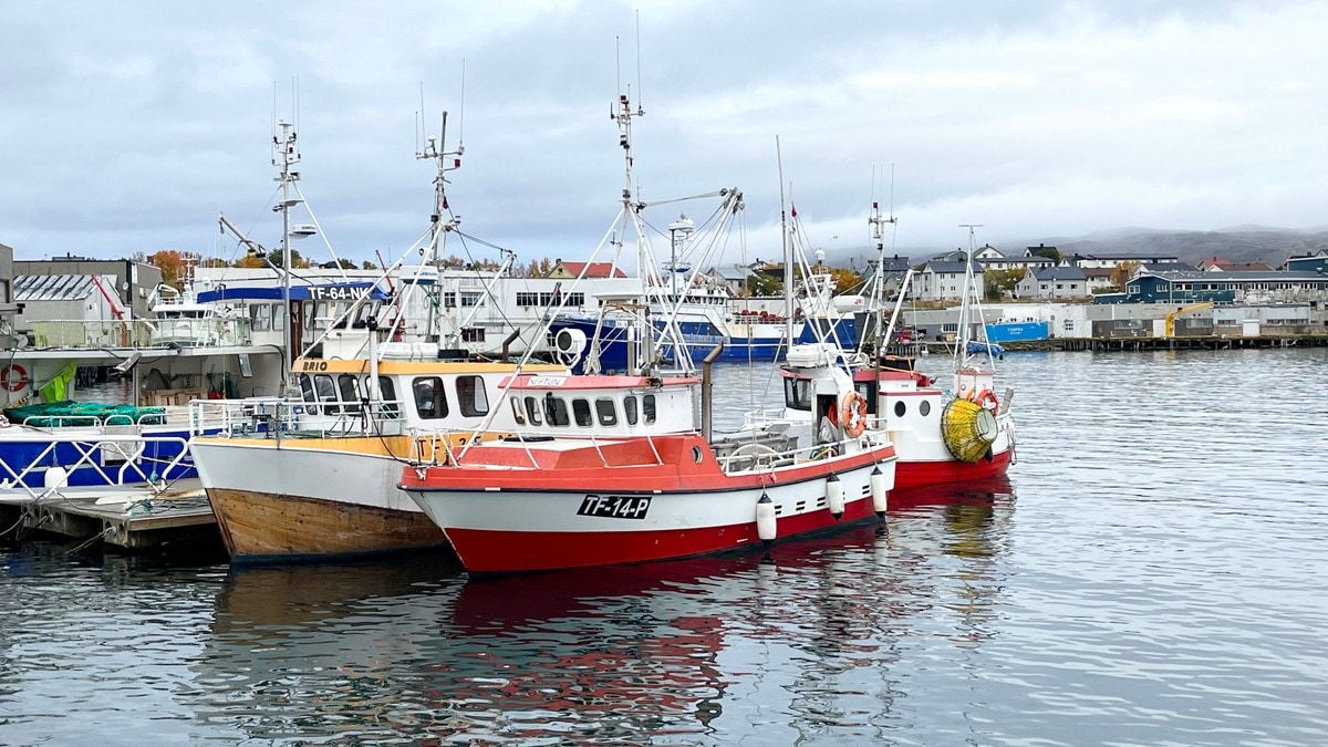 Fiskebåtene ligger ved kai: Kystsamfunn sliter og ber om hjelp