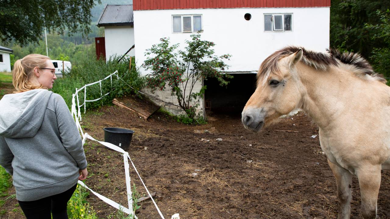 Marte Olsen har to hestar på garden i 2021.