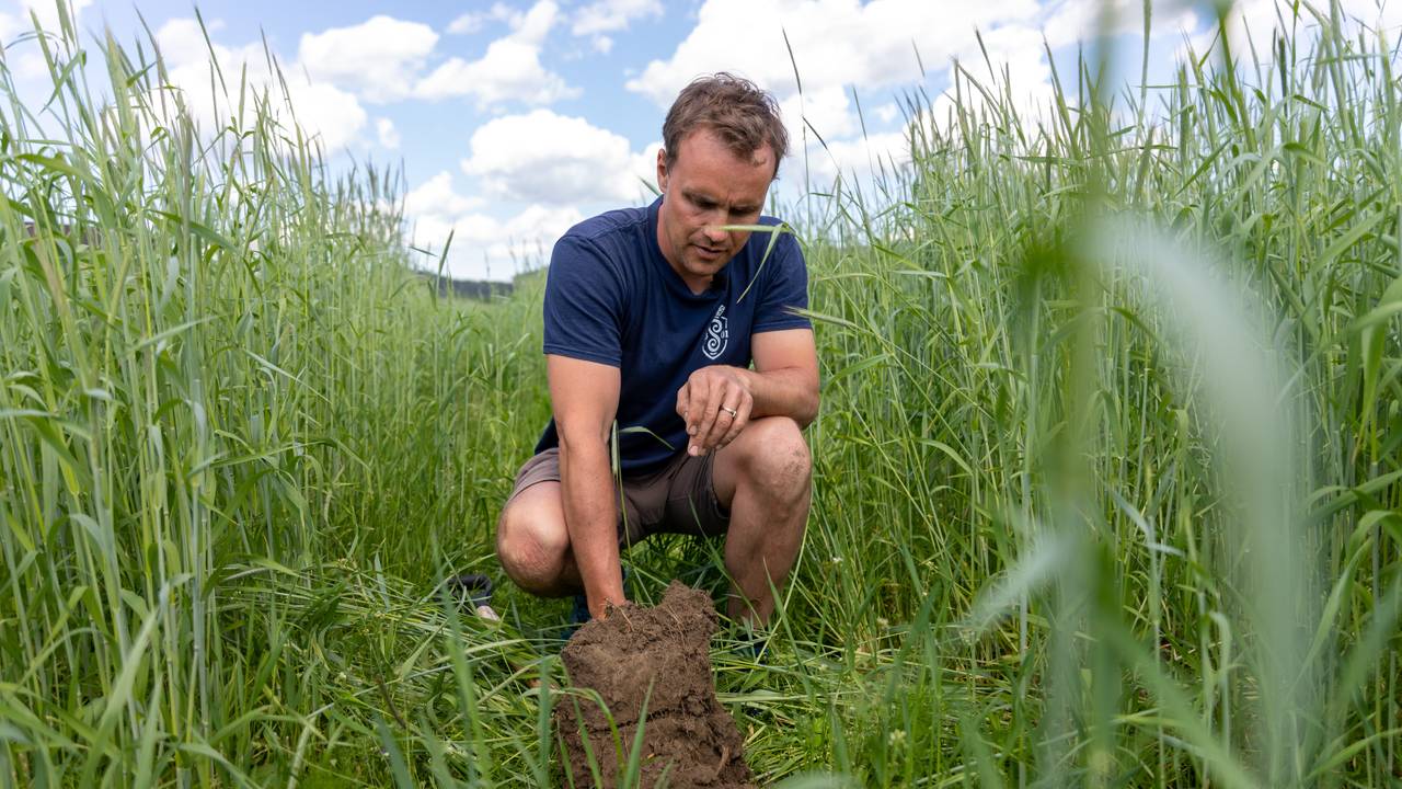 Kristoffer Svalastog Skinnes i åkeren på Nedre Skinnes Gård.