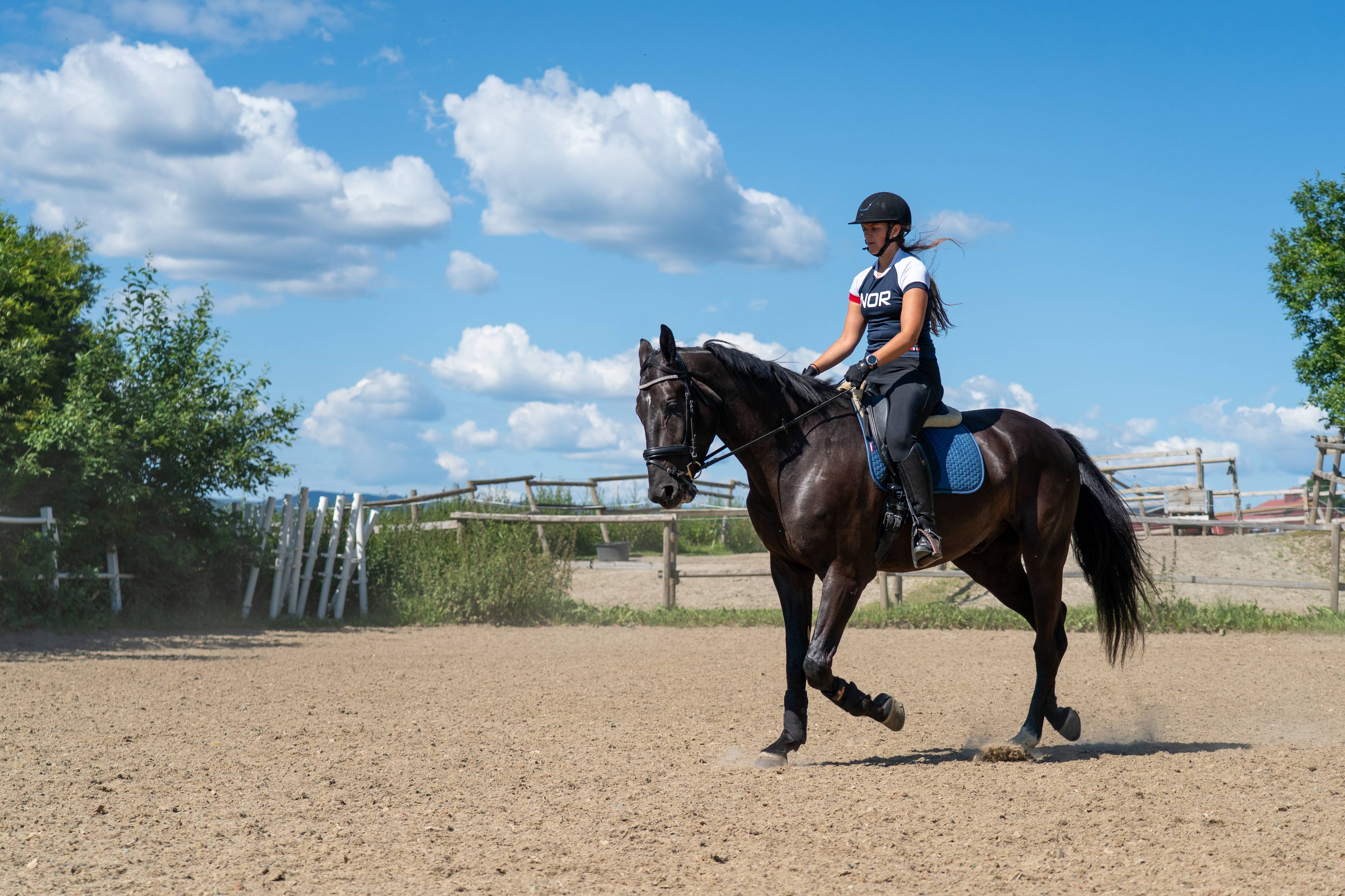 Rytter med hjelm og norsk landslagstrøye rir på ein mørk hest på ein utandørs ridebane. (Bildebeskrivelsen er laget av ein KI-teneste)
