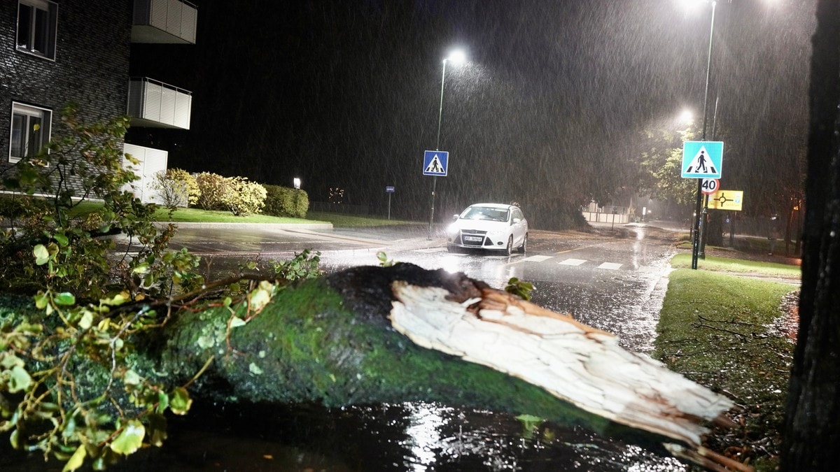 Person innesperret i Tveidalen