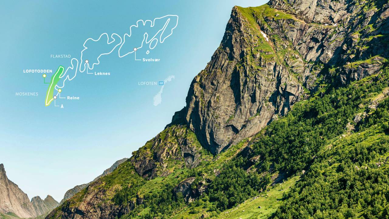 Lofotodden Nasjonalpark