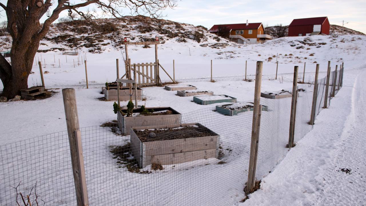 Kjøkkenhagen til Marit Skogsholm i Vokkøya