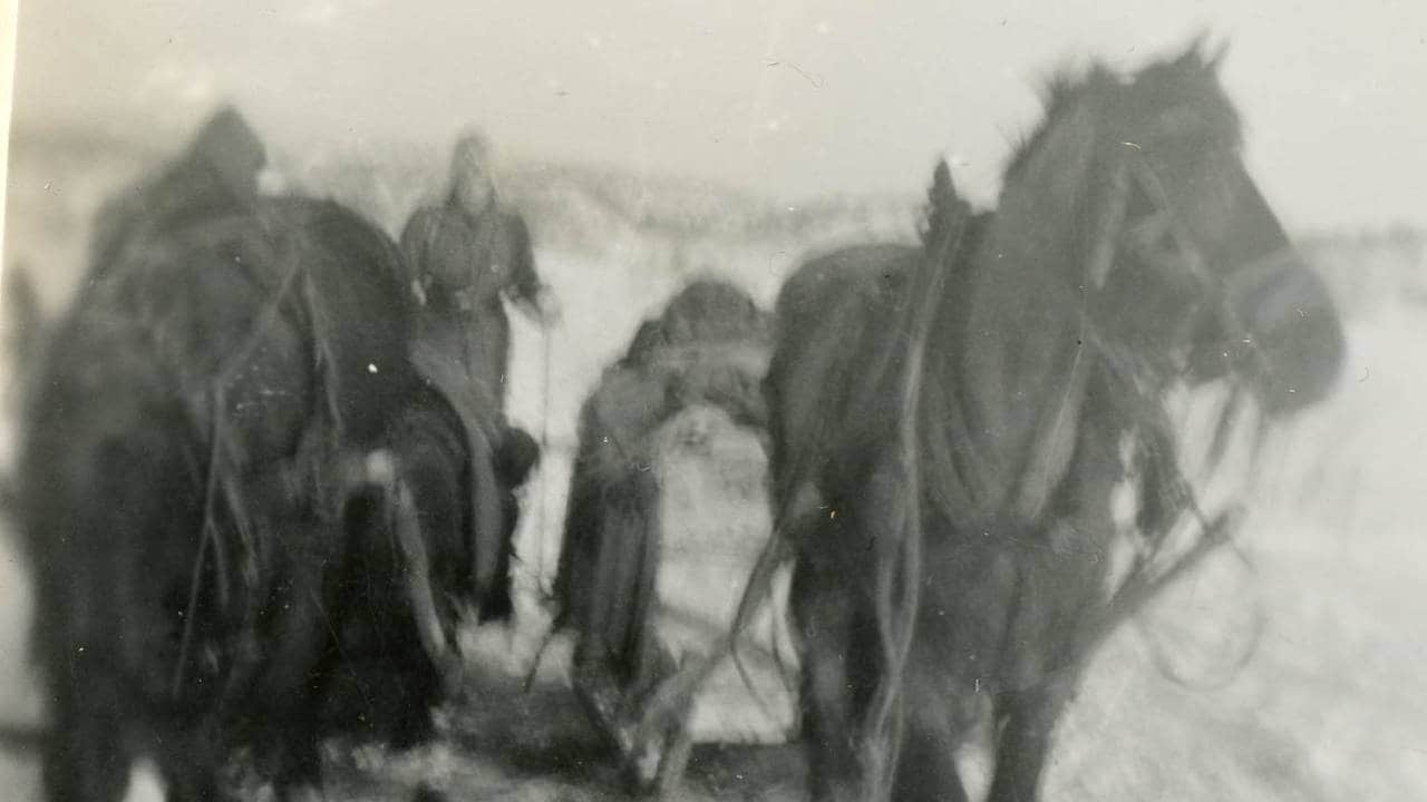En soldat bak hest og slede, Finnmark 1946