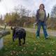 Lars Tore Endresen / NRK En person som går tur med en hund