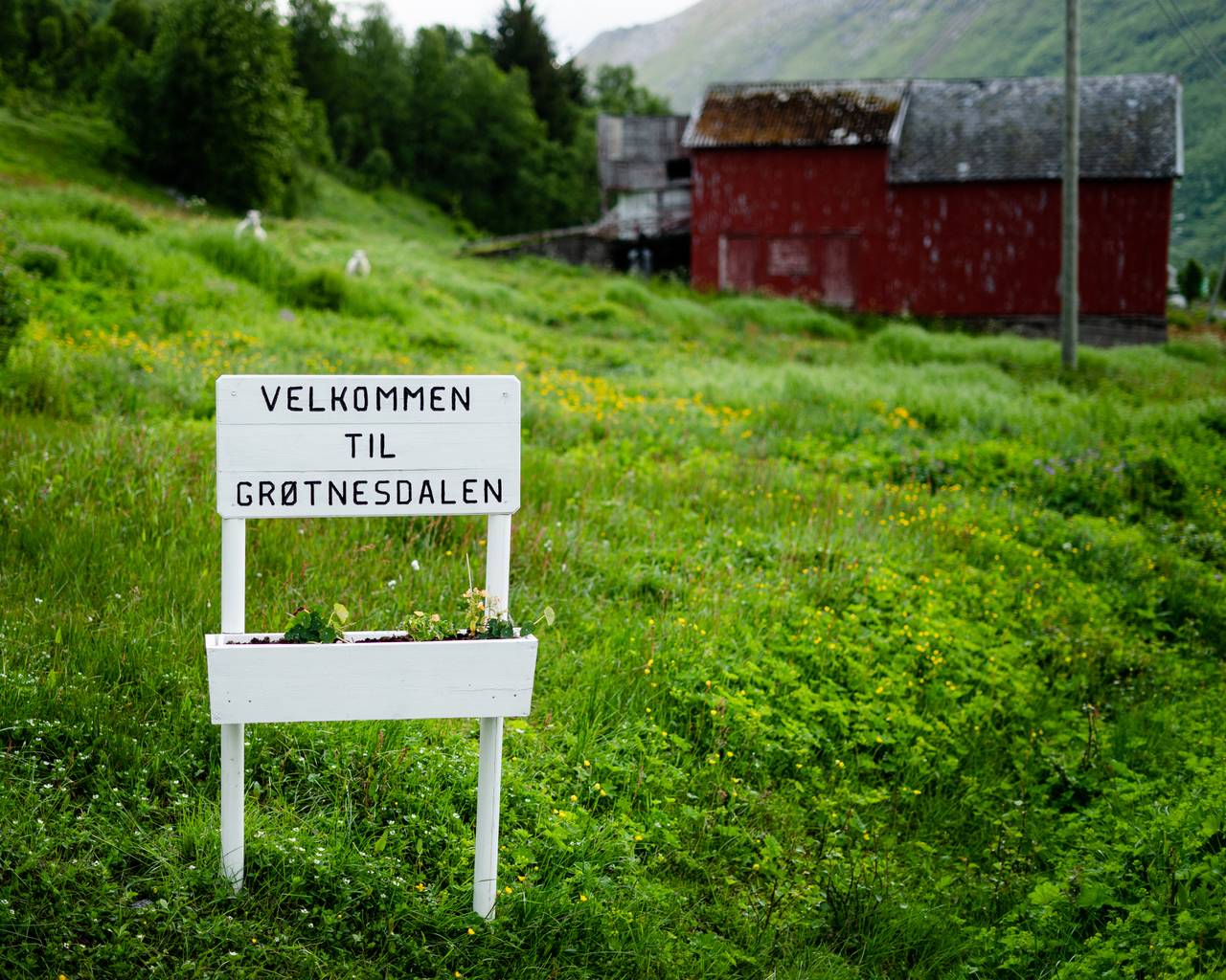 Et skilt viser Velkommen til Grøtnesdalen