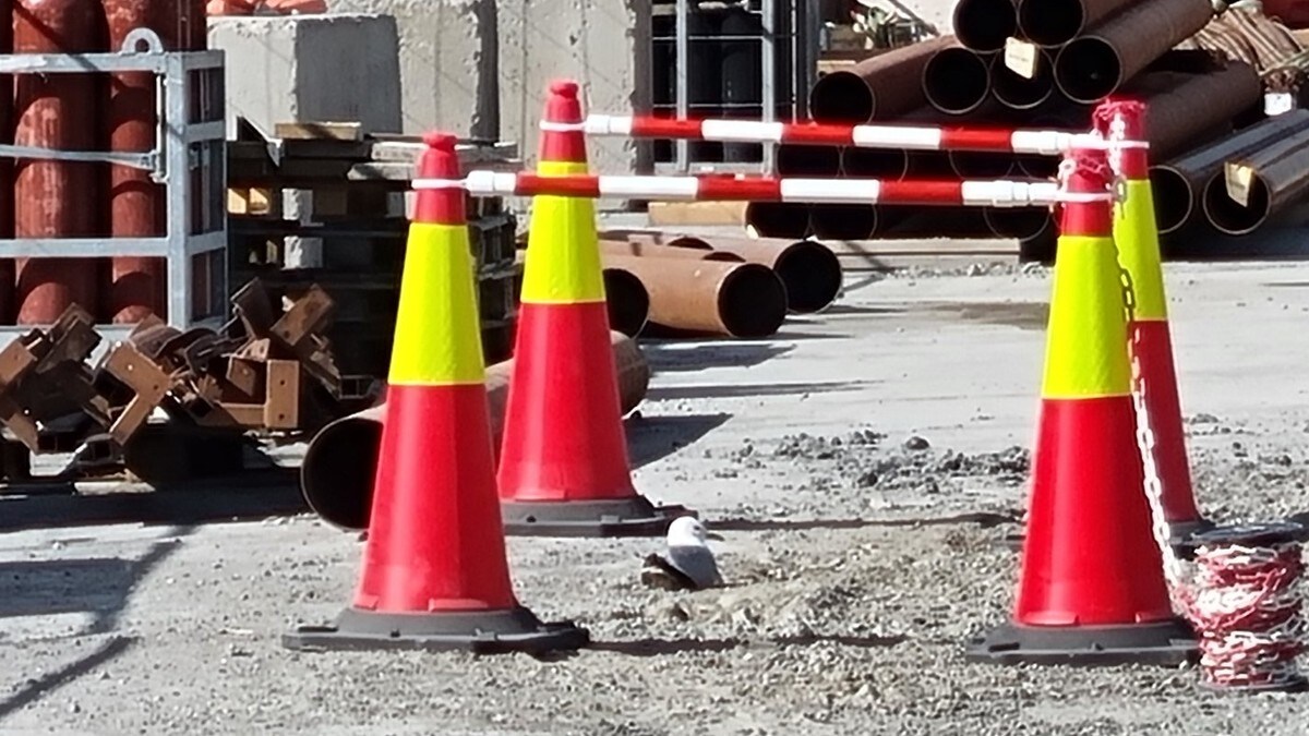 Måke skaper hodebry på byggeplass