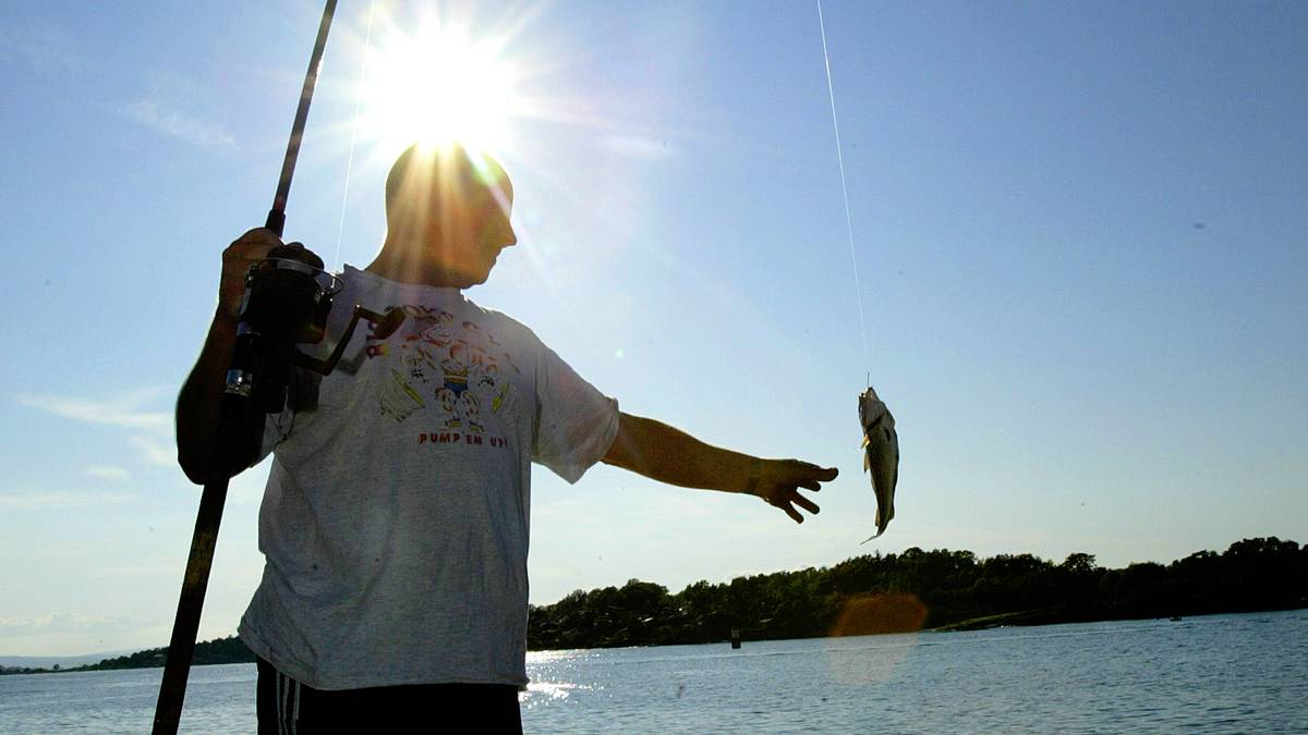 Fiskeridirektoratet: Foreslår fiskeforbud i Oslofjorden