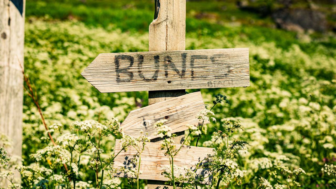 Skiltet veg til Bunes beach