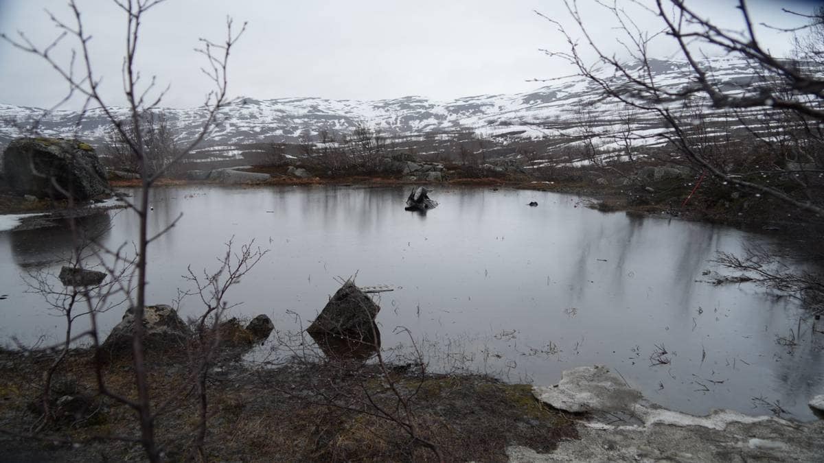 Politiet om Bjørnfjell-ulykken: – Bilen hadde for høy fart