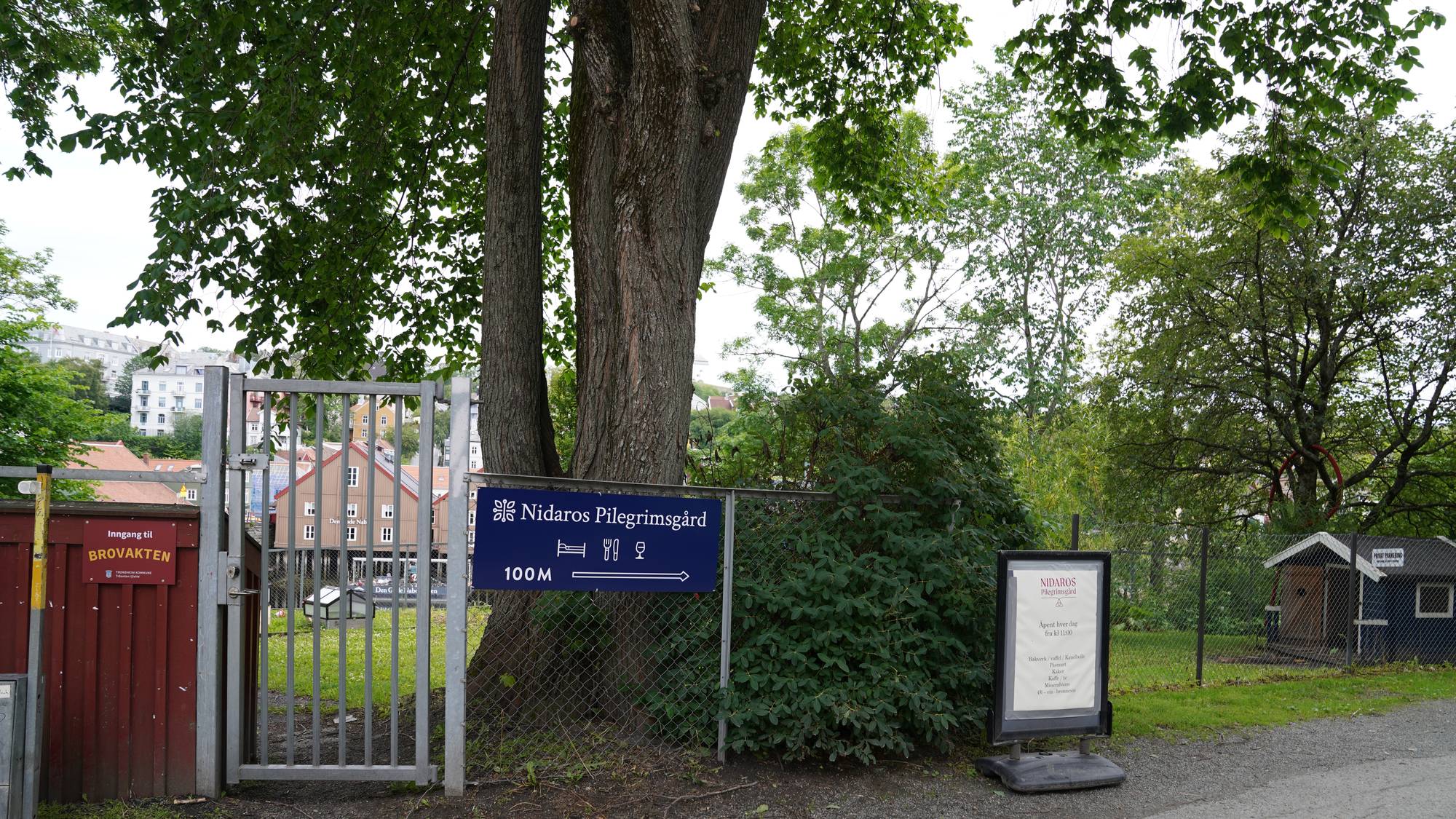 Pilegrim Nidaros