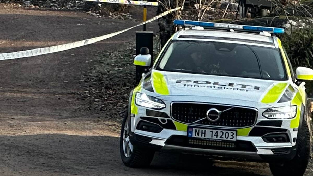 Politiet avfyrte varselskudd etter innbrudd