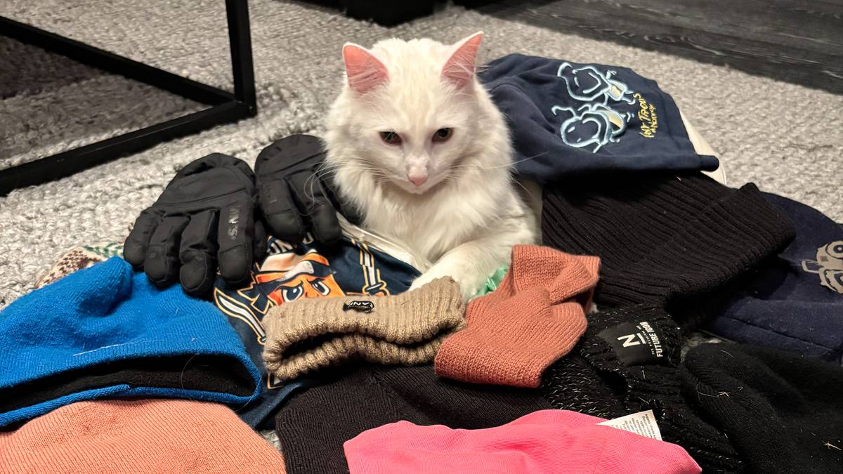 Kleptomane «Hvidepys» sjokkerer: Kom hjem med Peppa Gris-bikini