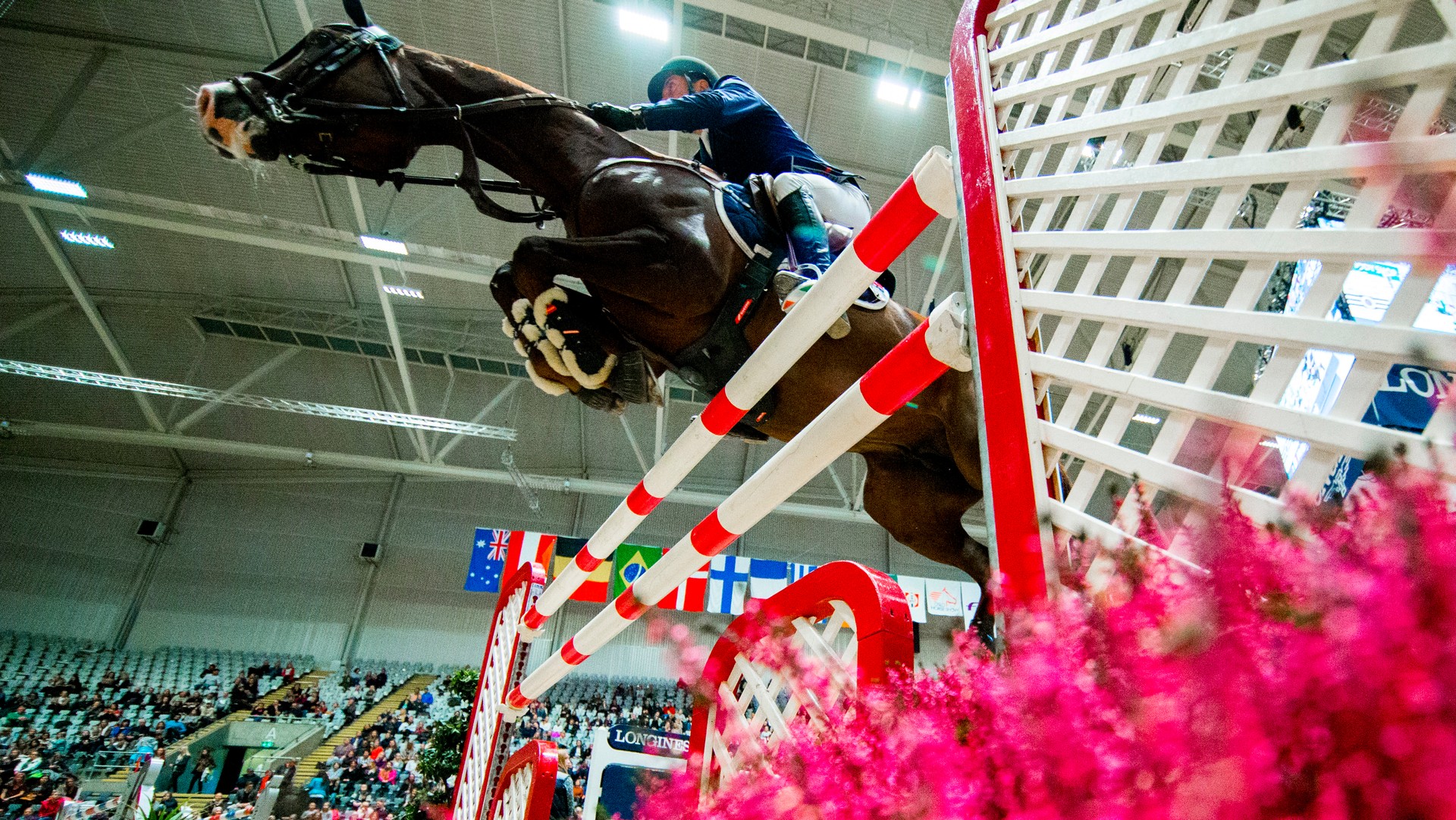 Oslo Horse Show - NRK TV