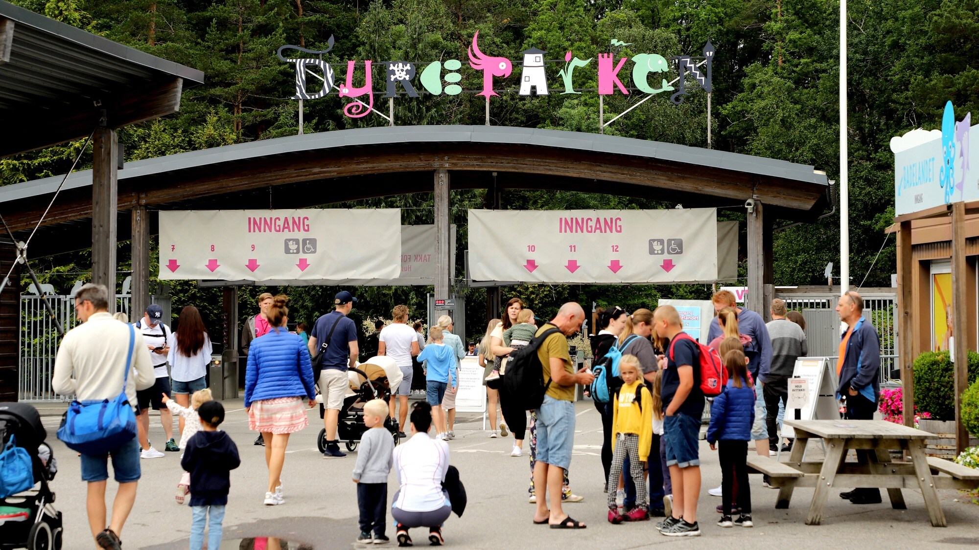 Kristiansand Dyrepark NRK S rlandet Lokale Nyheter TV Og Radio