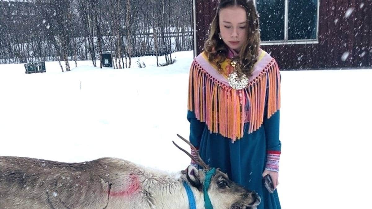 Mener reinkalven Pluto døde på grunn av Forsvarets jagerfly: – Jeg så den dø av sjokk