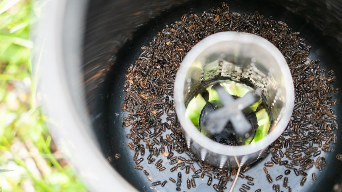 Nå herjer disse billene i skogen