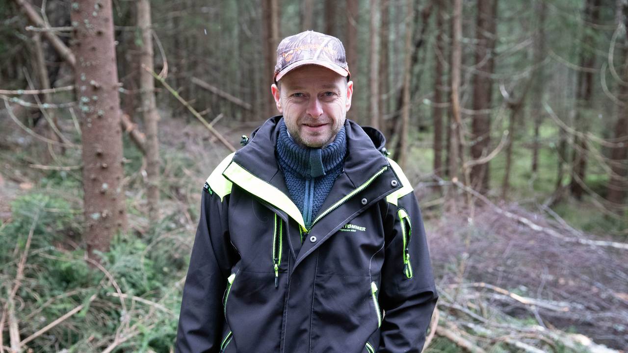 Virkeskjøper Endre Granum. Skog på Gran.