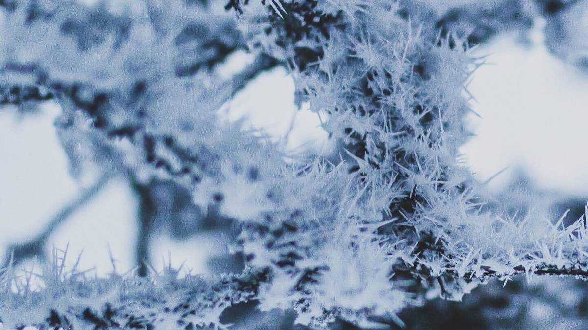 Kuldeperioden på Sørlandet vil fortsette