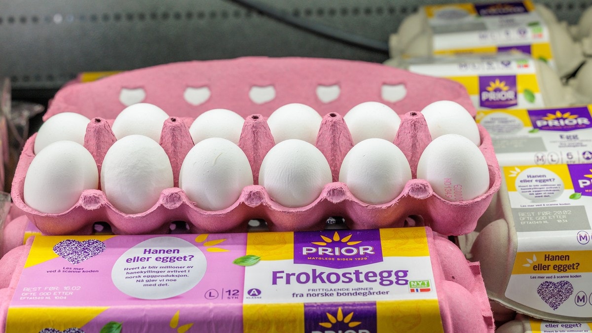 10 millioner egg tilbakekalt – dette må du vite