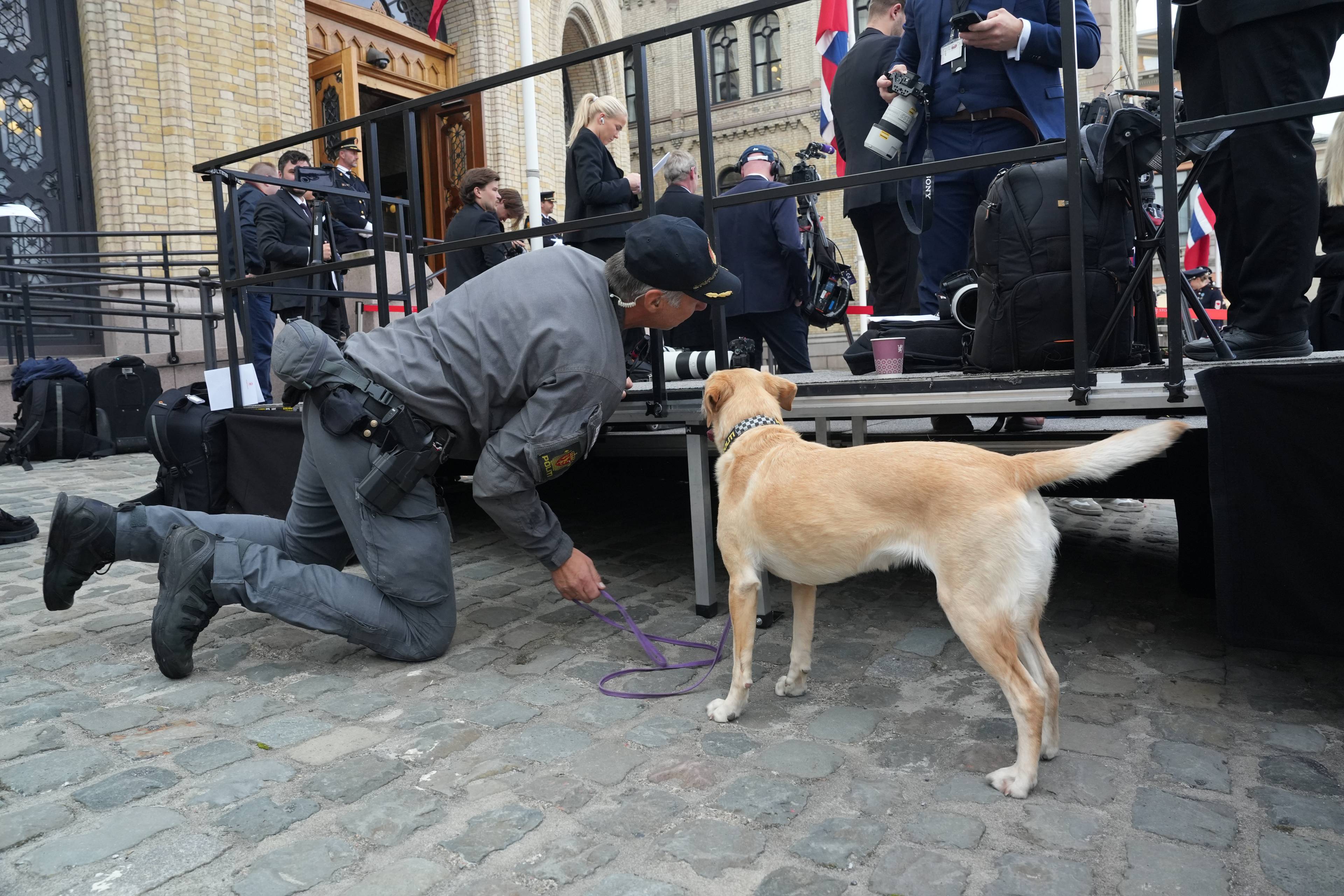 Politihund og hundefører sjekker sikkerheten