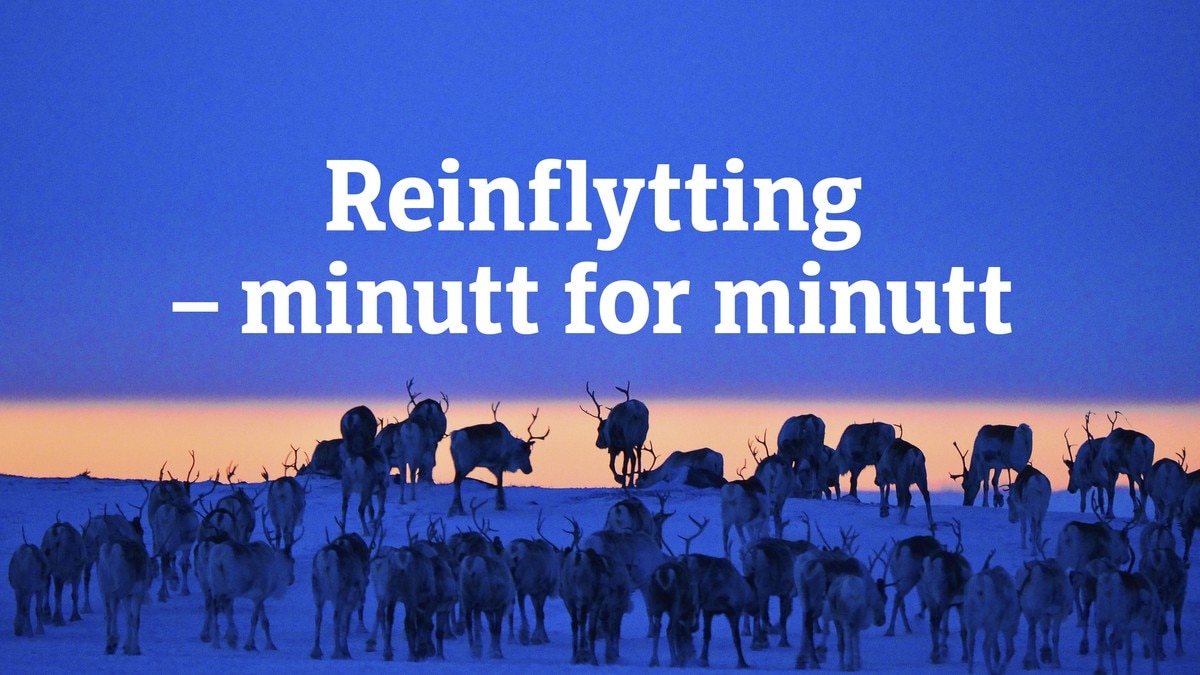 「Reinflytting – minutt for minutt」的圖片搜尋結果