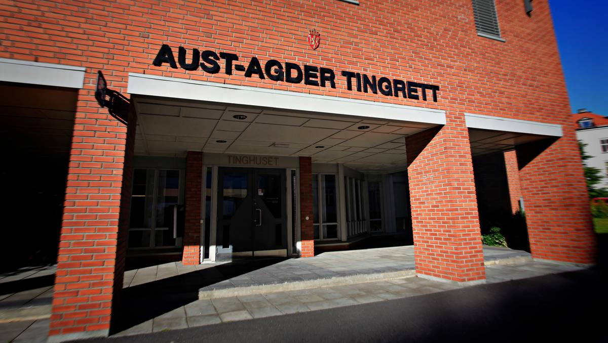 Dømt for vanskjøtsel av 30 katter