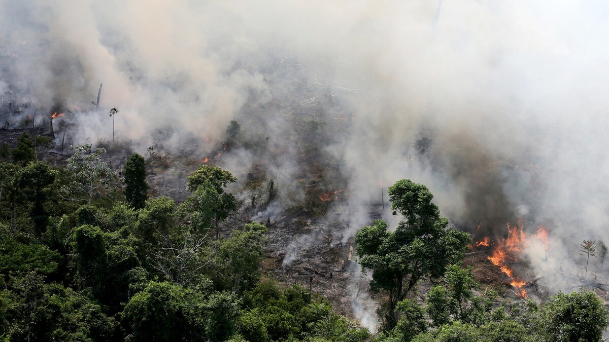 Prøvar å sløkkje Amazonas-brannar