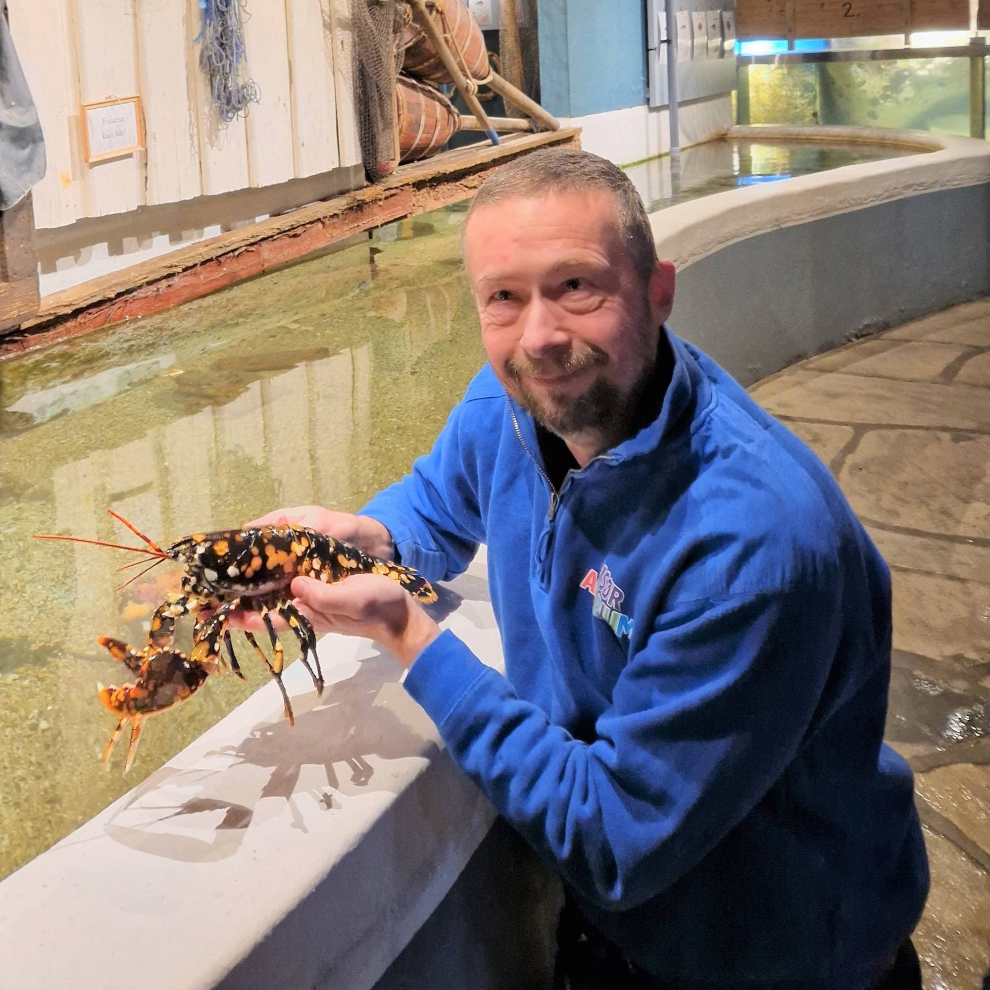 Unik hummer med oransje flekker. Funnet av 11 år gamle Emil Landås fra Flekkerøy utenfor Kristiansand. Levert inn til Risør akvarium. Veldig unik og spesiell - 1 av 30 million. Her sammen med akvariesjef Wieger van Brunschot.