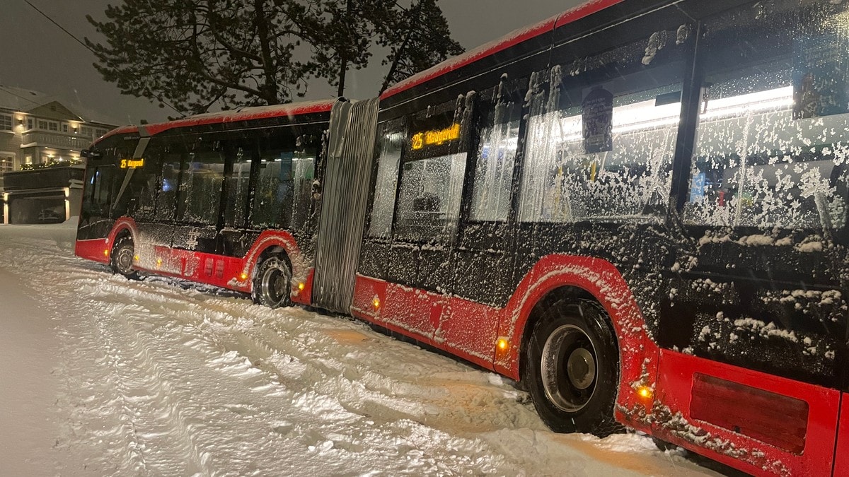 Forsker: Store snøfall skyldes ikke klimaendringer