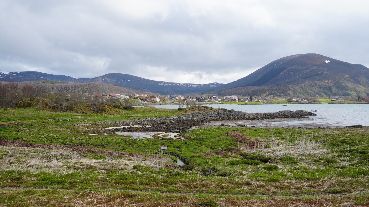 Strid rundt ordet «særleg» i lovendring: – Vil gå ut over verdifull natur