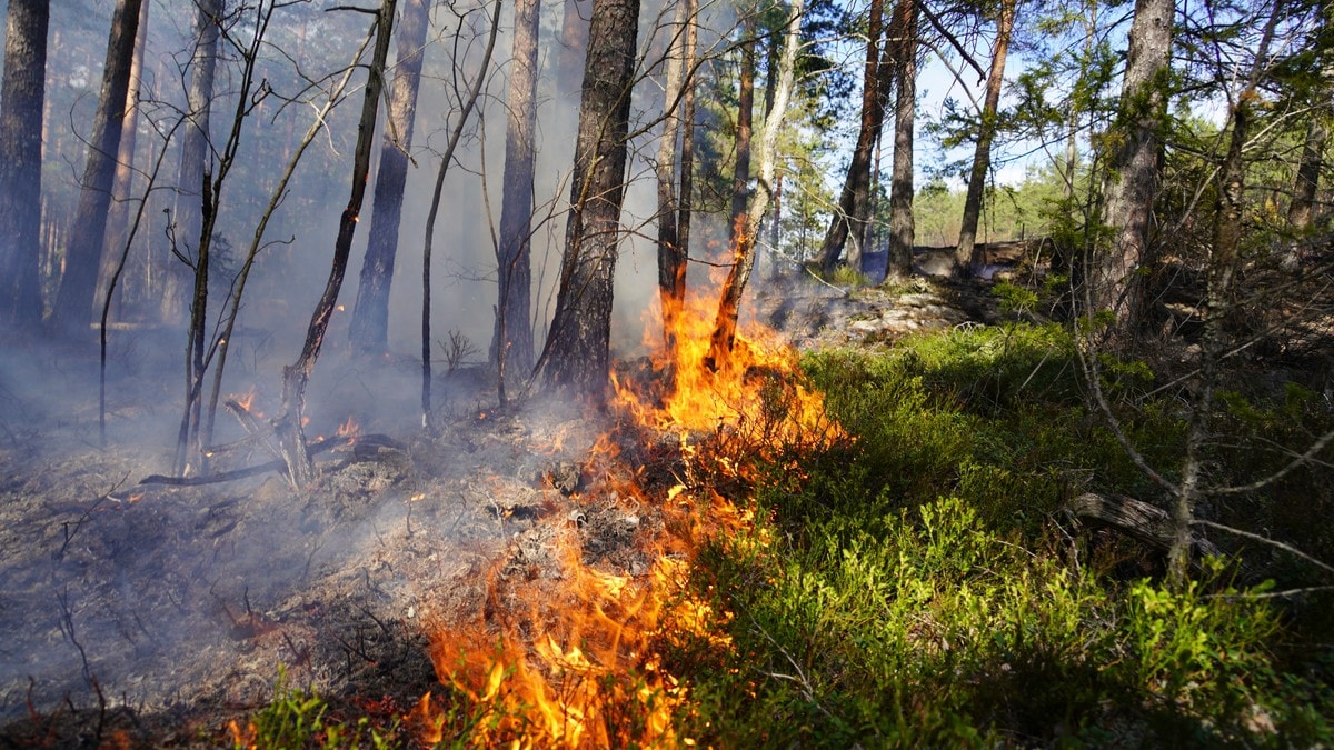 Sørlandsbanen stengt i flere timer fremover