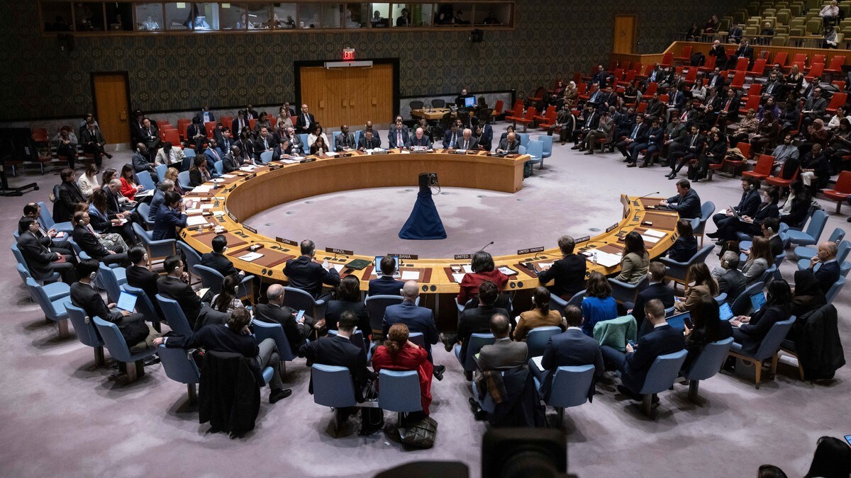 Enighet i Sikkerhetsrådet om Gaza-hjelp. USA la ned veto mot russisk forslag.